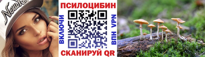 Псилоцибиновые грибы Psilocybine cubensis  Кондопога 